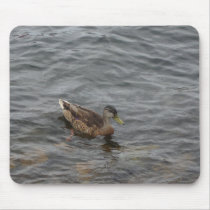 Swimming Duck Mousepad by Country1969 Swimming Duck Mousepad