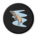 swimming duckbilled platypus magnets