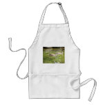 Swimming Ducks Aprons