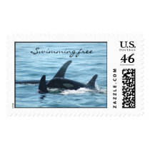 Swimming free orca stamps