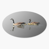 Swimming Geese Sticker stickers