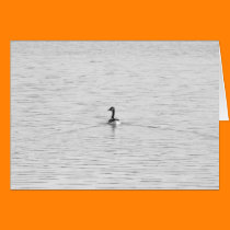 Swimming Goose cards