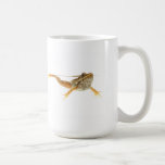 Swimming Green Frog on White Background Mug