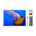 Swimming jellyfish postage