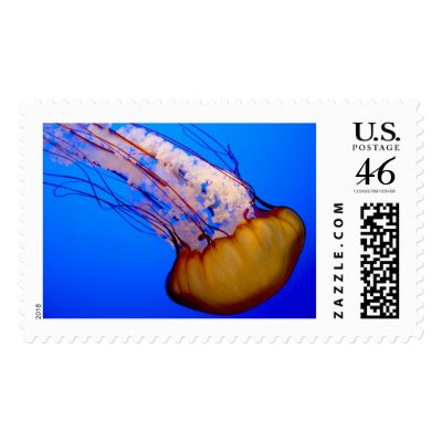 Swimming jellyfish stamps by deegolden