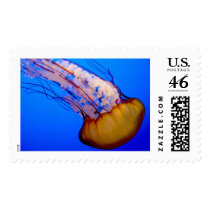 Swimming jellyfish postage