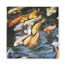 Swimming Koi Fish Magnet