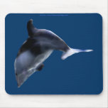 SWIMMING PACIFIC DOLPHIN Art Mousepad