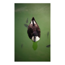 Swimming Partners posters
