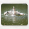 swimming pelican mousepads
