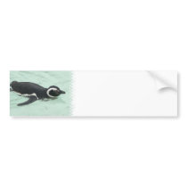 Swimming Penguin Bumper Sticker