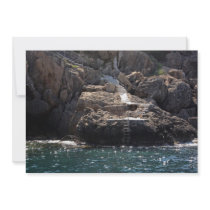 Swimming Platform into the Sea Invitation