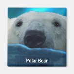 Swimming Polar Bear Arctic Wildlife Art Magnet