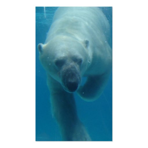 Swimming Polar Bear  Business Card (back side)