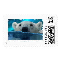 SWIMMING POLAR BEAR STAMPS