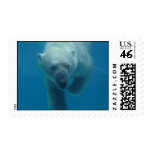 Swimming Polar Bear  Postage Stamp