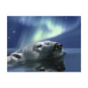 SWIMMING POLAR BEAR postcards