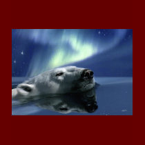 SWIMMING POLAR BEAR t-shirts by RavenSpiritPrints SWIMMING POLAR BEAR t-shirts