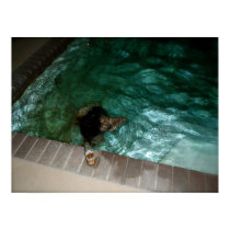 Swimming posters