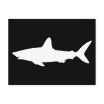 Swimming Shark Post Card
