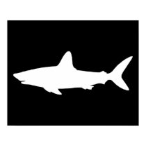 Swimming Shark posters