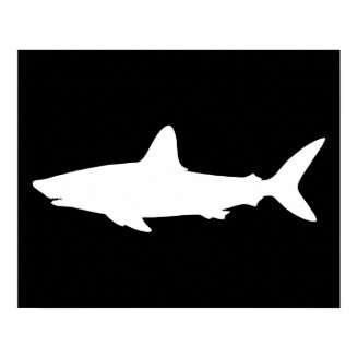 Swimming Shark Posters