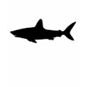 Swimming Shark t-shirts