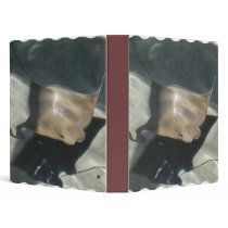 Swimming Stingray Binder