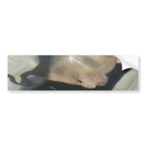 Swimming Stingray Bumper Stickers