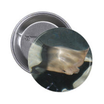 Swimming Stingray Buttons