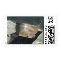Swimming Stingray Postage Stamp