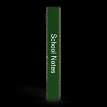 Swimming Swan Binder binders