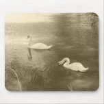 Swimming Swans Mousepad
