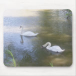 Swimming Swans Mousepad