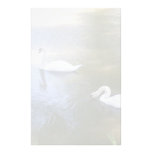Swimming Swans Stationery