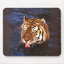 Swimming Tiger Mouse Pads