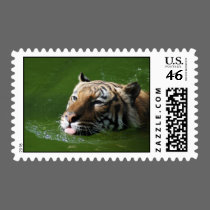 Swimming Tiger Postage postage by smilodonart Swimming Tiger Postage postage