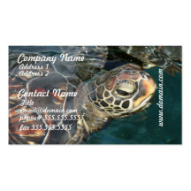 Swimming Turtle Business Cards