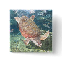 Swimming Turtle buttons by HacksterManic Swimming Turtle buttons