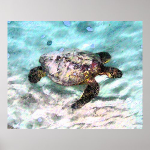 Swimming Turtle Canvas Prints print