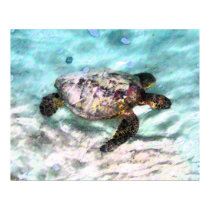 Swimming Turtle Canvas Prints