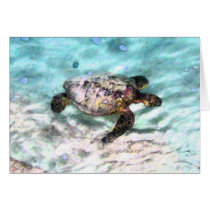 Swimming Turtle Cards
