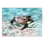 Swimming Turtle Cards