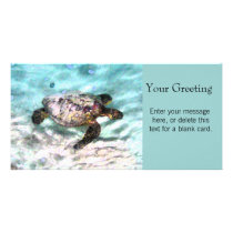 Swimming Turtle Custom Card Photo Cards