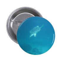 Swimming Turtle buttons