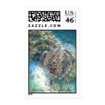 Swimming Turtle Postage Stamps