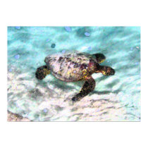 Swimming Turtle Poster