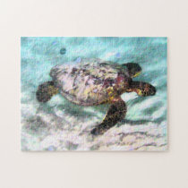 Swimming Turtle Puzzle