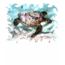 Swimming Turtle Shirts