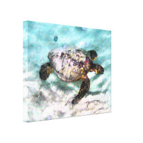 Swimming Turtle Wrapped Canvas